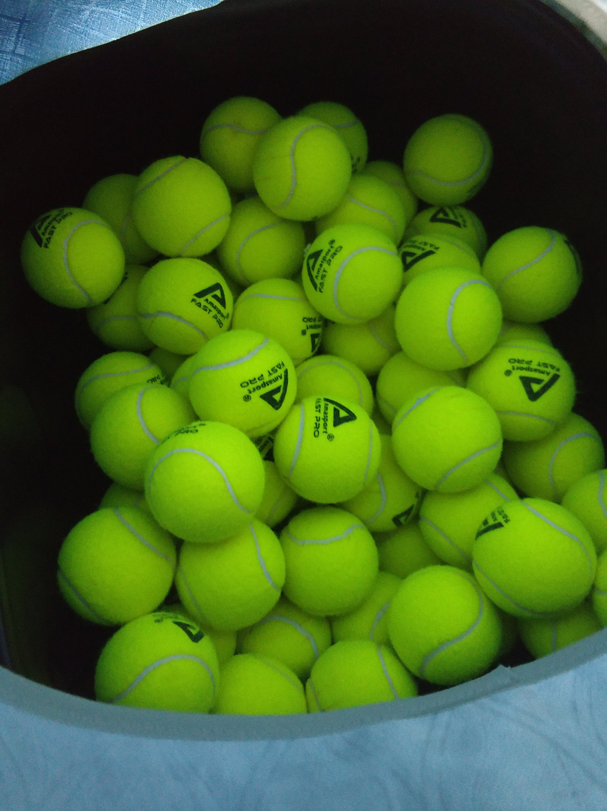 彼此信任 彼此信任